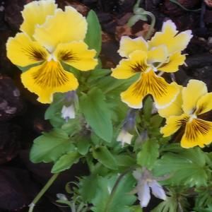 Meet your Posher, Rita